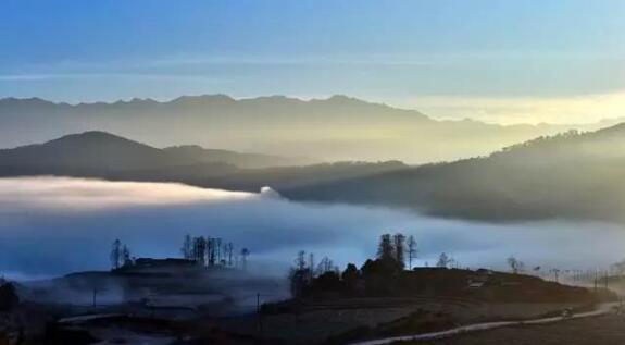 在最美的季節(jié)遇見你 雅居樂“上山下?！斌w驗行