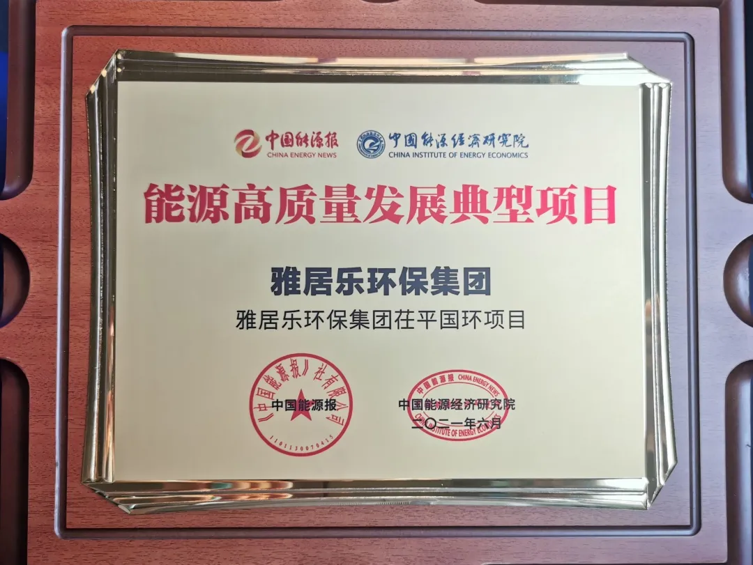 3、茌平國環(huán)能源獎.png